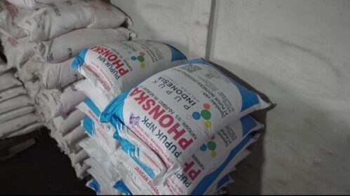 Penyaluran Pupuk Bersubsidi Masuk Tahap Uji Coba di Sejumlah Daerah
